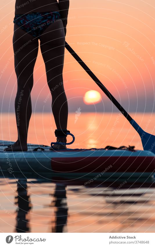 Unrecognizable female surfer on paddleboard at sunset row woman sea summer training surfboard sup board sporty stand calm water sundown sky twilight dusk