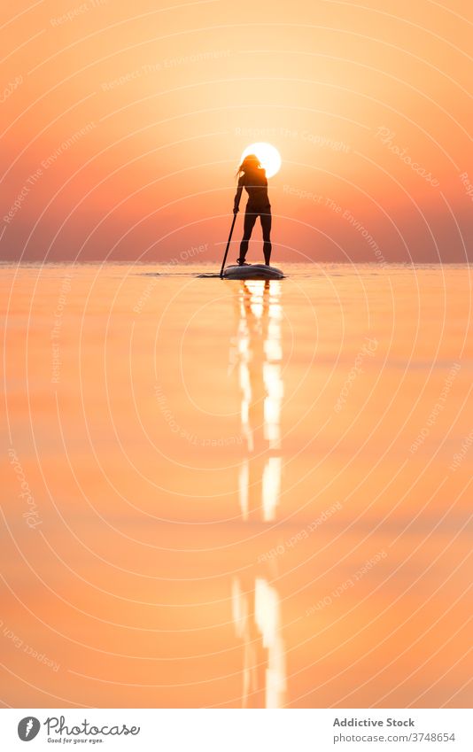 Anonymous woman practicing on paddleboard at sunset surfer sup board silhouette row sea training surfboard female summer sporty stand calm water sundown sky