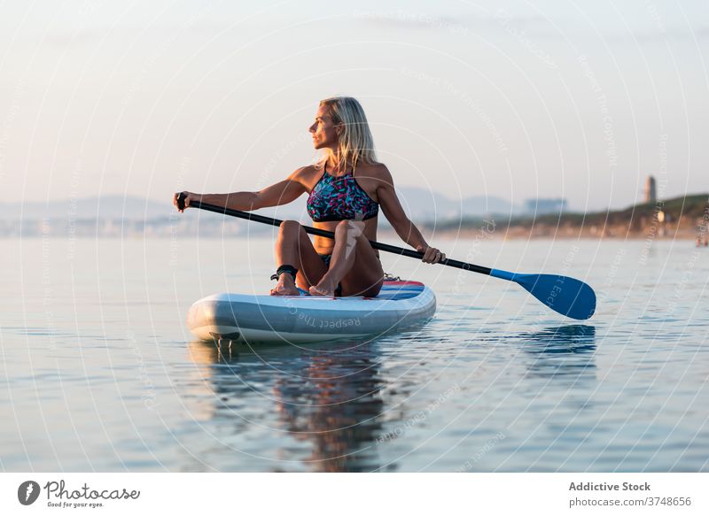 Woman practicing on paddleboard at sunset surfer sup board woman row sea training surfboard female summer sporty sit calm water sundown sky twilight dusk