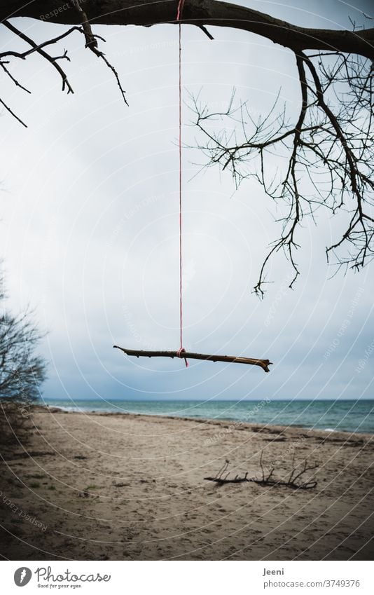 Branch hangs lonely on red rope on Baltic Sea beach | Suicide Rain Winter Rope Ocean Beach Grief sad Cold rainy coast Water Nature Sky Waves Clouds Weather