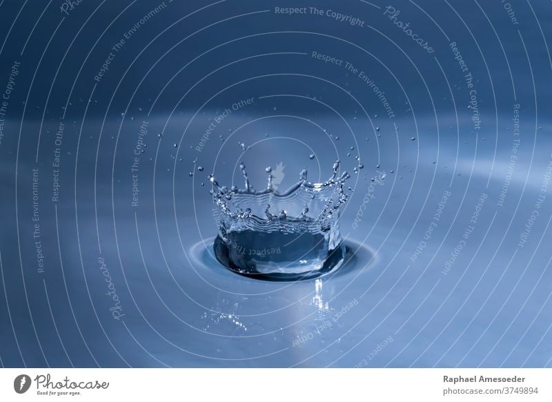 Splashing water drop hitting water surface macro splashing close up wave shape liquid abstract aqua aquamarine aquatic background bead blue bright bubble burble