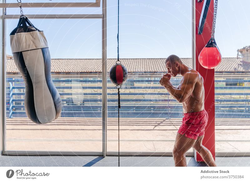 Focused sportsman training with punching bag in gym boxing boxer determine fighter workout intense glove male athlete power physical vitality combat practice