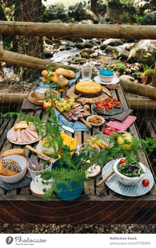 Table with various food for picnic in forest table assorted dish serve woods tasty valle del jerte caceres spain cozy meal holiday nature summer gourmet natural