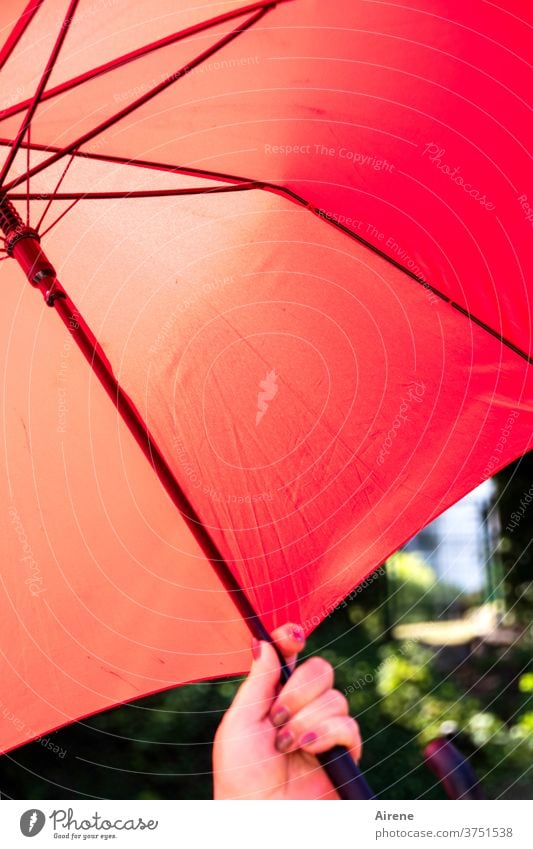 protective measure Umbrellas & Shades Sunshade guard sb./sth. shield Red Hot Summer Hand Nail polish sun protection rain shelter Weather Weather protection