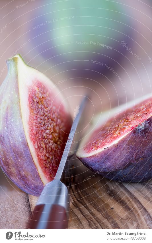 halve figs Fig cut in half fruit Sámen Knives
