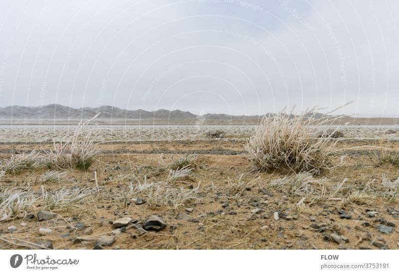 Ice in the Gobi Desert Sand Mongolia
