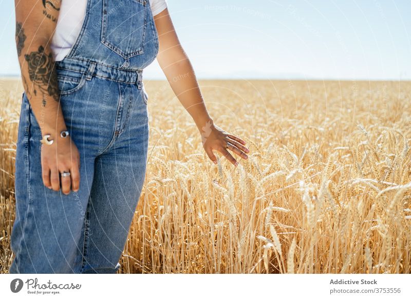 Anonymous woman standing along dry field wheat agriculture enjoy summer golden season carefree female landscape rural vacation country countryside nature sky