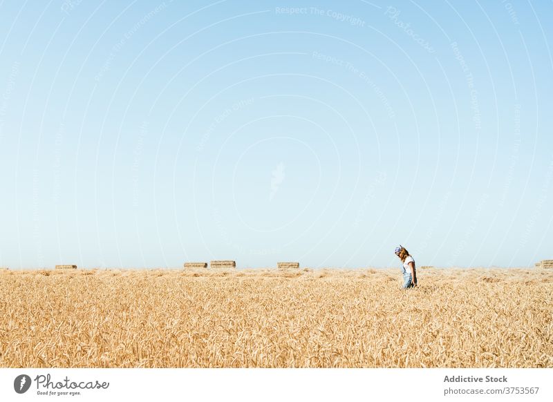 Woman walking along dry field wheat woman agriculture enjoy summer golden season carefree female landscape rural vacation country countryside nature sky idyllic