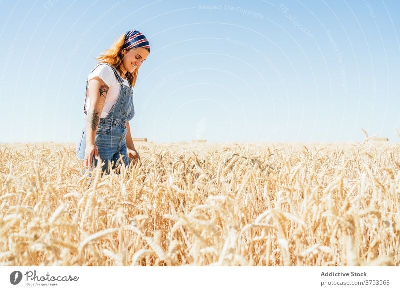 Content woman walking along dry field wheat agriculture enjoy summer golden season carefree female landscape rural vacation country countryside nature sky