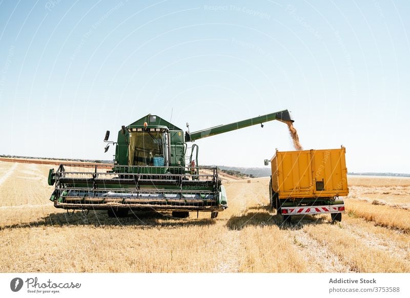 Agricultural machinery in wheat field agriculture combine collect harvest grain trailer farm rural countryside organic summer plant fresh plantation environment