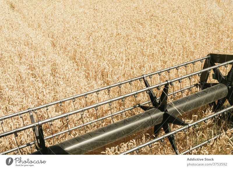 Reel of combine harvester in field reel detail machine wheat agriculture season golden modern metal element countryside meadow daytime farm environment growth