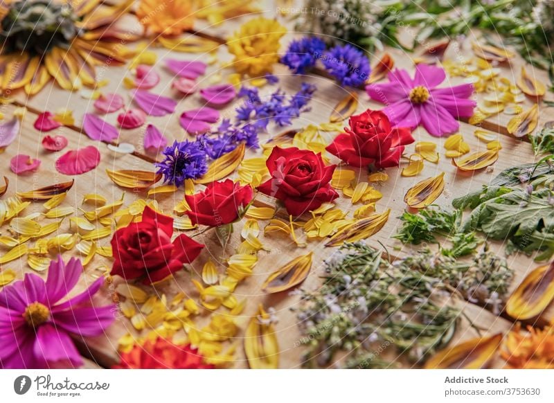 Various flowers arranged on table arrangement composition petal bud delicate wooden color assorted fresh natural bright blossom bloom romantic flora floral