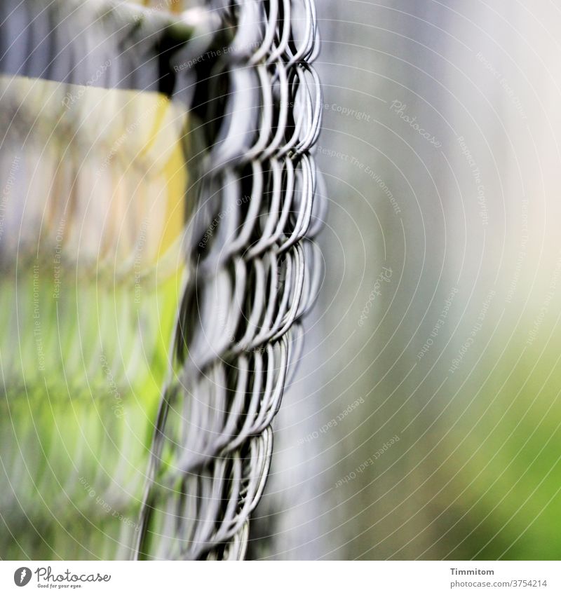 Fence in the forest Metal Green silver Deserted Glittering Close-up Shallow depth of field Wire netting