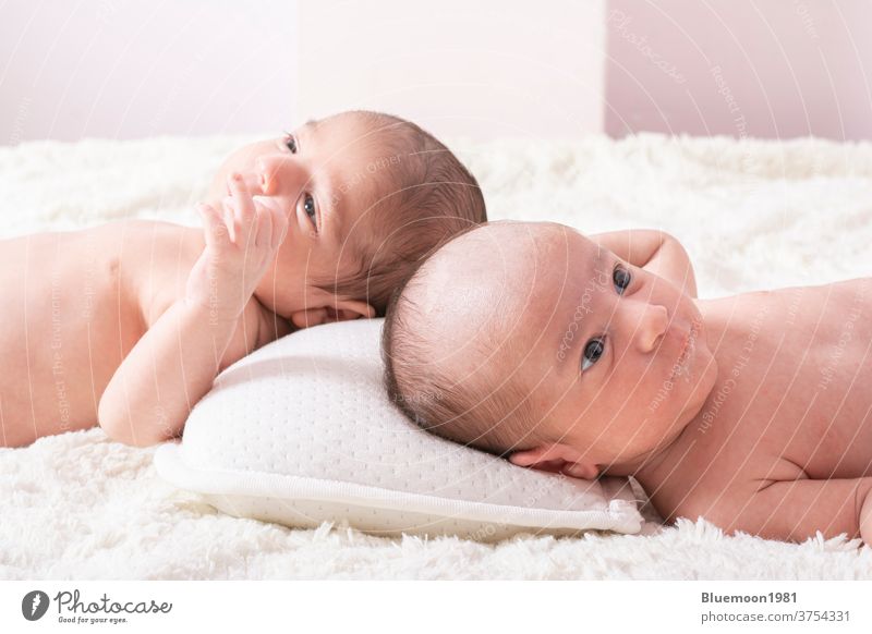 One month newborn twin babies resting on bed comfort cute boys friendly gentle healthy indoor infant kid face adorable baby beautiful care child childhood lie