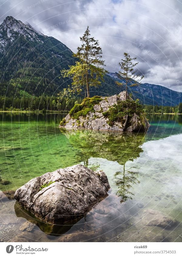 The Hintersee in Ramsau in the Berchtesgadener Land rear lake Lake Rock tree Alps mountain Berchtesgaden Country Bavaria Forest Landscape Nature