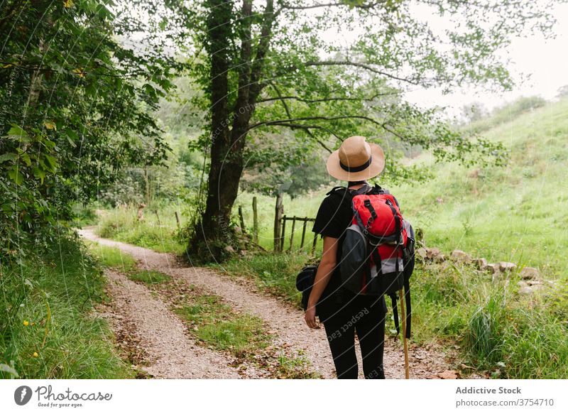 Traveler standing on path in forest tourist backpack trail travel woods nature vacation adventure hat walk journey traveler holiday summer activity trekking