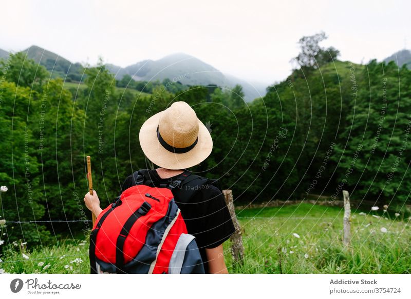 Tourist with backpack in green forest traveler trekking woods summer explorer hike nature adventure vacation wooden stick path tourism trail journey wanderlust