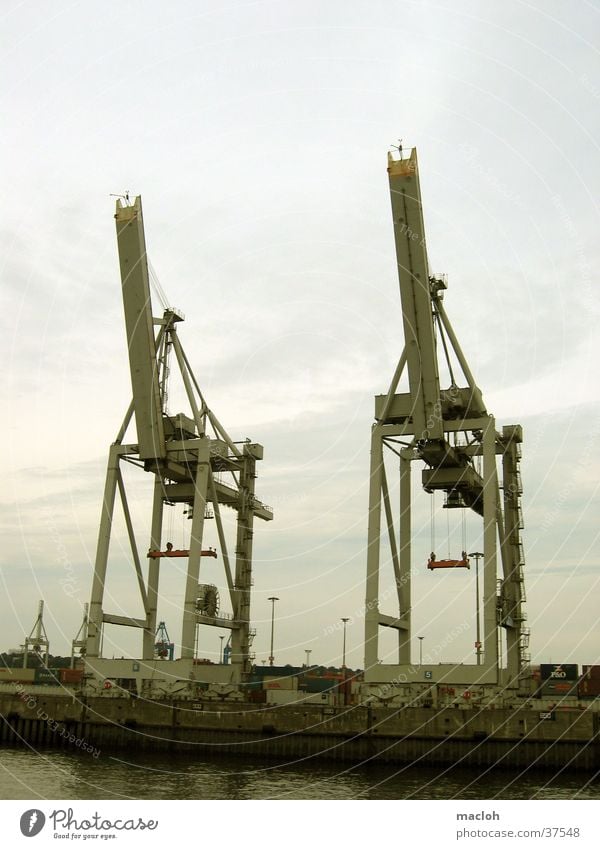 elephants Crane Elephant Twin Logistics Industry Harbour Container Hamburg