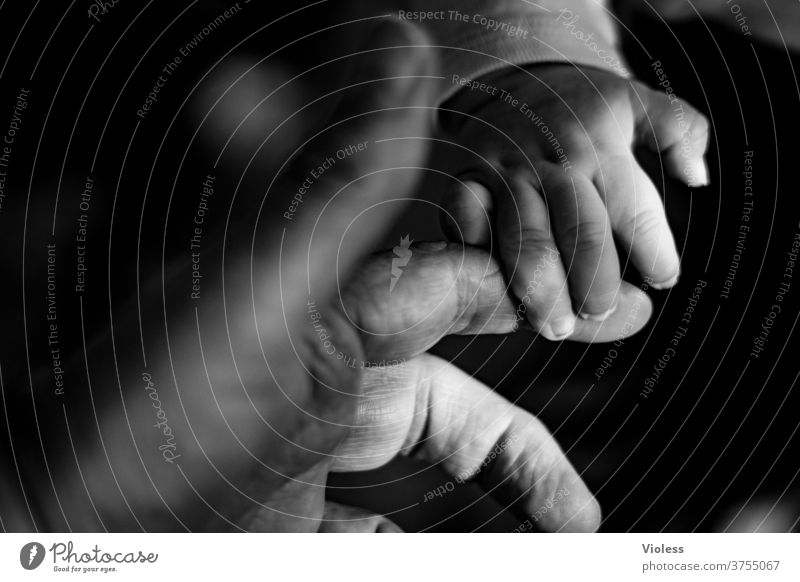 Intergenerational contract - reaching out a hand touching Corona Global Handshake Help Belief Affectionate Support senior citizens Touch two persons Generations