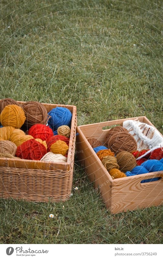 Fresh from the sheep Wool Ball of wool Wooly Wool scraps Knot Remainder remnants Handcrafts Knit Soft Leisure and hobbies Meadow Crochet Living or residing Lie