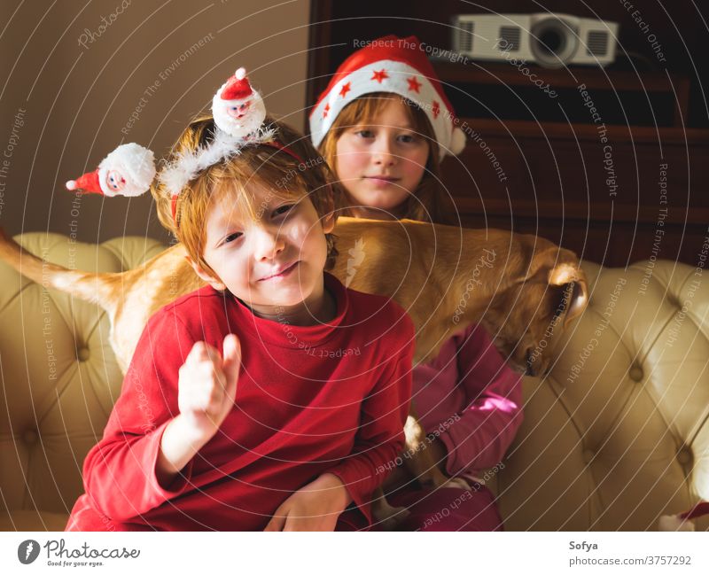 Kids in santa caps playing with cute puppy christmas authentic new year kids mood smiling santa claus red dog pet winter fun funny enjoy holidays home cozy
