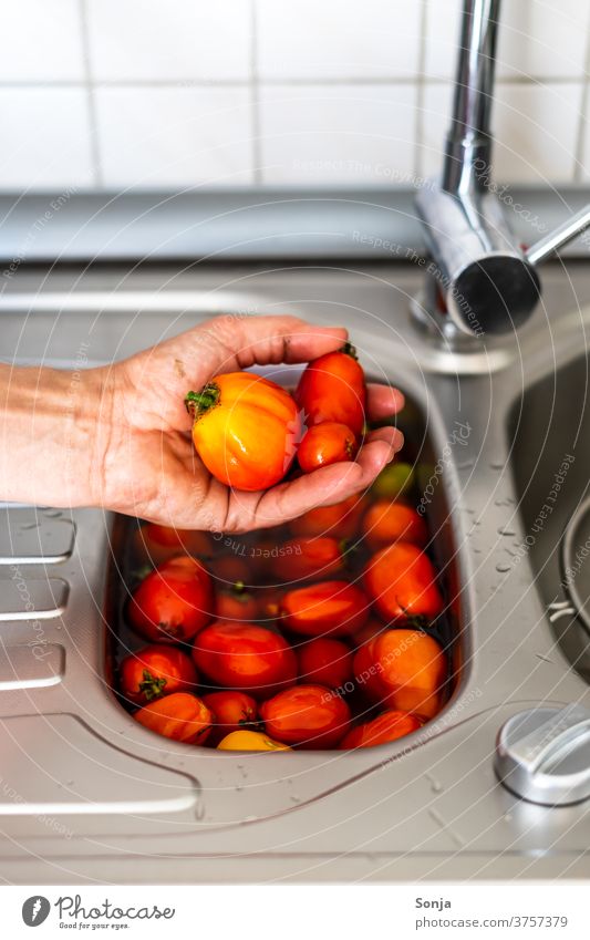 Man washes raw tomatoes in a sink full of water. Close up. by hand Wash Sink Sink Sink Water Red Cleaning Colour photo Fresh Wet subsection Preparation