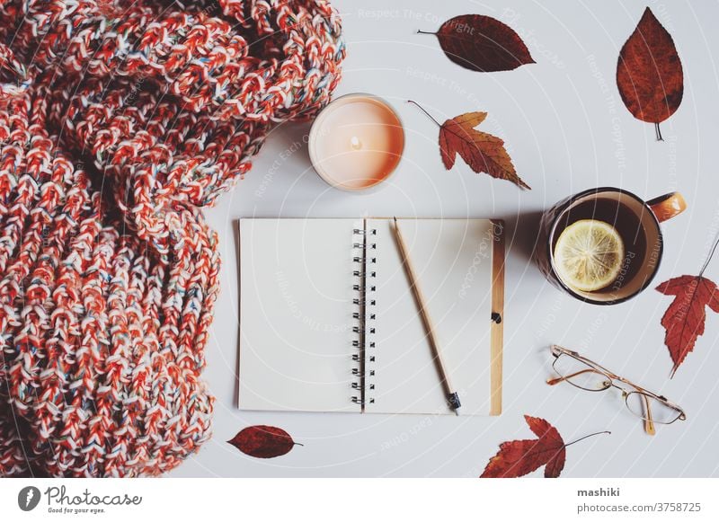 cozy autumn still life details with sketch book, dried leaves for herbarium, hot tea and knitted blanket. Hygge concept, flat lay on white. note background fall