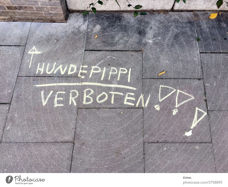 Announcement (2) Street Urine dog's loo Walk the dog Chalk lettering Letters (alphabet) house wall Sidewalk urban interdiction Aggravation Warn Clue