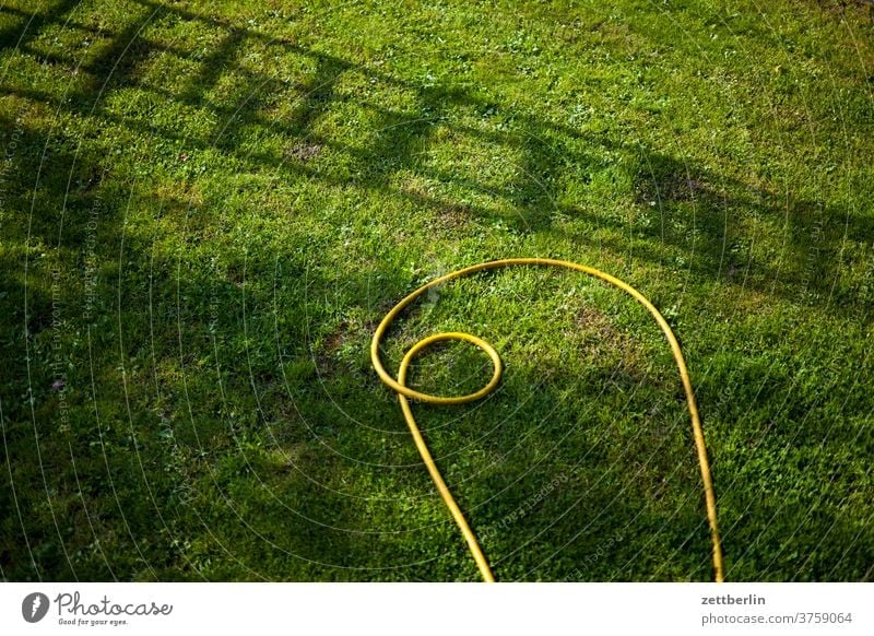 Garden hose and ladder shade Branch tree flowers blossom bleed Relaxation holidays Grass Sky allotment Garden allotments Deserted Nature Plant Lawn tranquillity