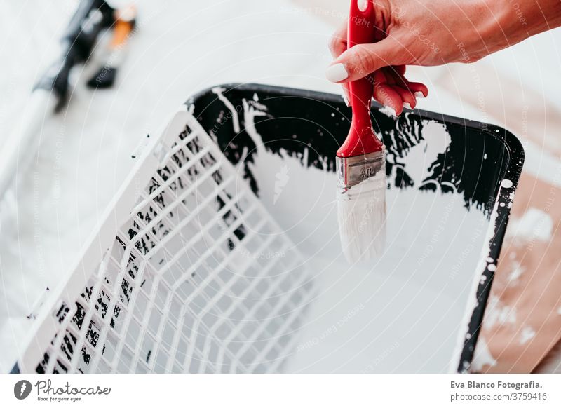 close up of woman holding painting brush for improvement painting walls with white color. Do it yourself and new home concept bucket move hands unrecognizable