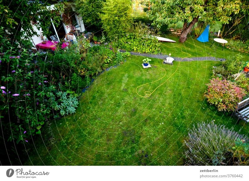 Bird's eye view of the garden Branch tree flowers blossom bleed Relaxation holidays Garden Grass Sky allotment Garden allotments Deserted Nature Plant Lawn