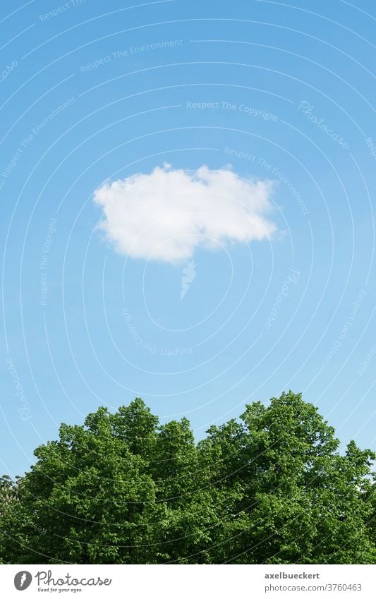blue sky with single cloud treetop trees nature tranquil treetops clouds weather summer environment meteorology ecology environmental solitary white clear