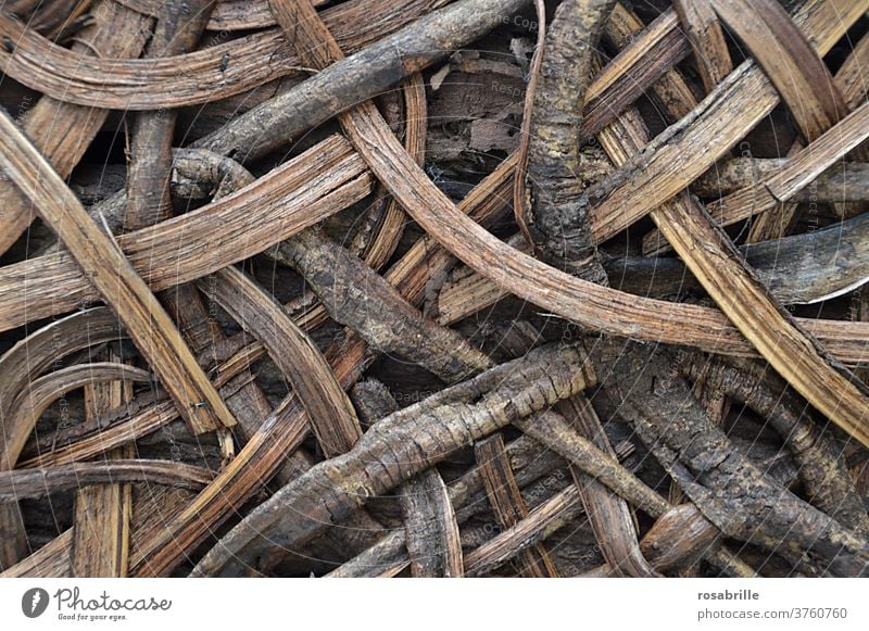 back to the roots | pattern from roots and wood Wood Pattern background naturally Nature wickerwork gobbled Devour noose wax Root Brown concept conceptually