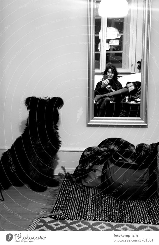 Selfie with dog of woman in front of mirror Man and dog Pet Self portrait dark season Dark Moody Winter mood Mirror Mirror image Lamp Dog Animal Communication