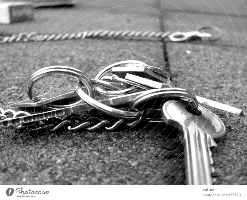 bunch of keys Key Terrace Macro (Extreme close-up) Close-up Black & white photo Chain Metal Silver Circle