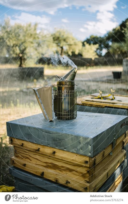 Bee smoker on hive in garden bee apiary beekeeping beehive fume summer countryside nature metal equipment professional farm green wooden sunny season timber