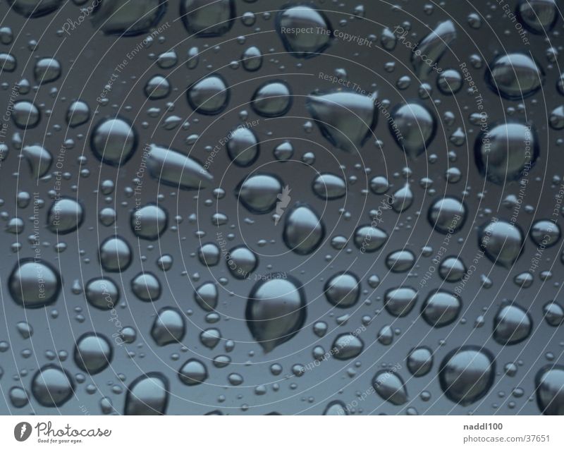 trickle Water Drops of water Rain Close-up Transparent Multiple