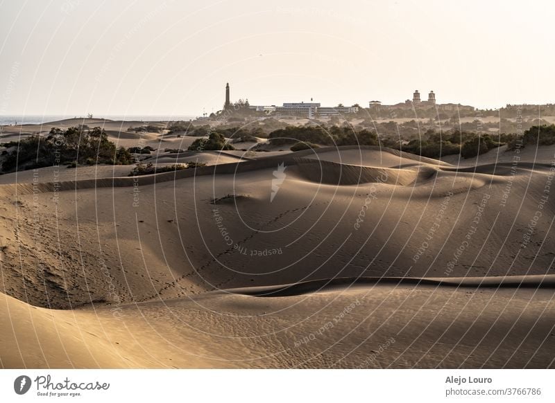 Sand dunes with a town in the background and beautiful golden hour light sunset sand dune sand dunes desert gran canaria canary islands sunrays travel traveling