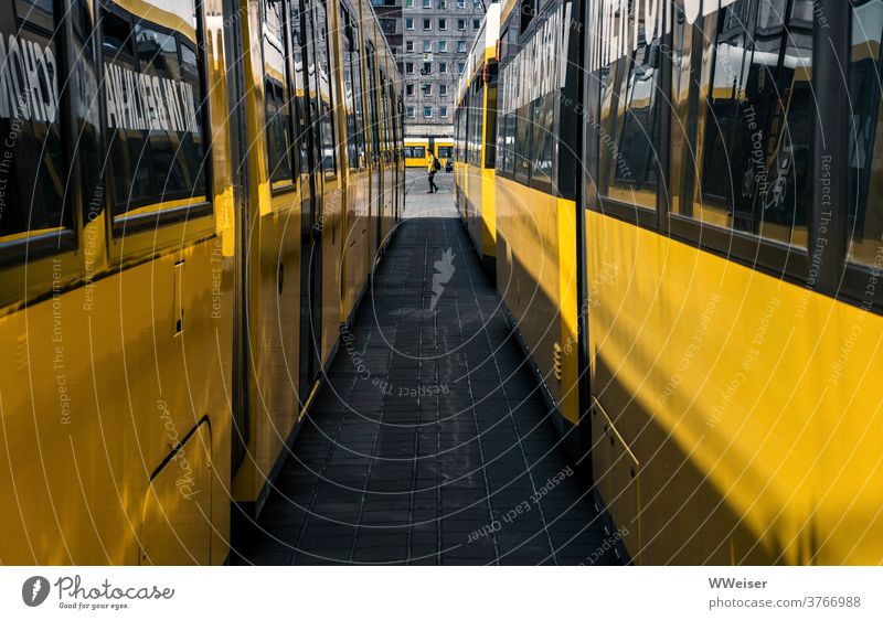 Trams from all sides and a suitably dressed woman Yellow Berlin Street Transport urban person Passer-by Perspective Tunnel vision Window Vanishing point