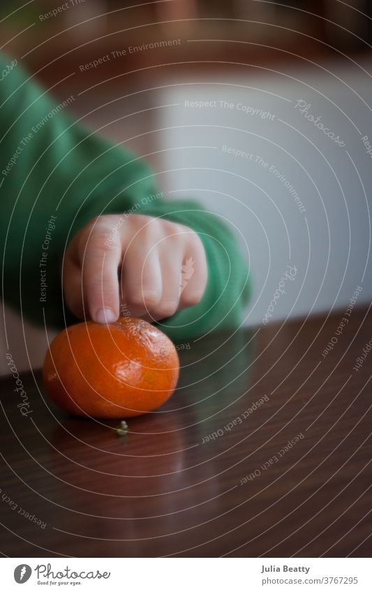 Child's hand pointing to clementine citrus fruit; healthy snacking Citrus fruits orange peel peeling child Hand Fingers Finger food finger nails dining