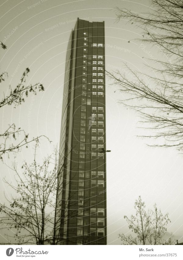 arag.skyscraper High-rise Twilight Building Tree Architecture Duesseldorf