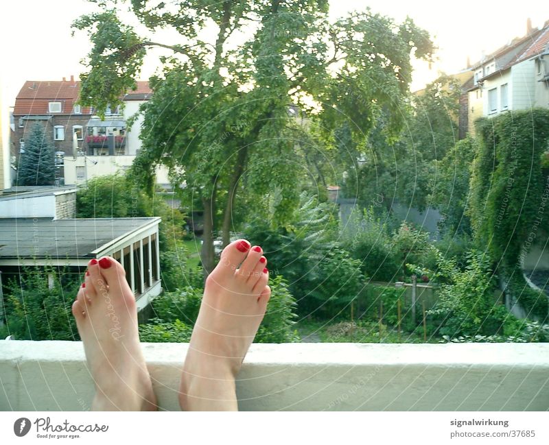 red toenails Nail polish Backyard Summer Balcony Tree Woman Feet