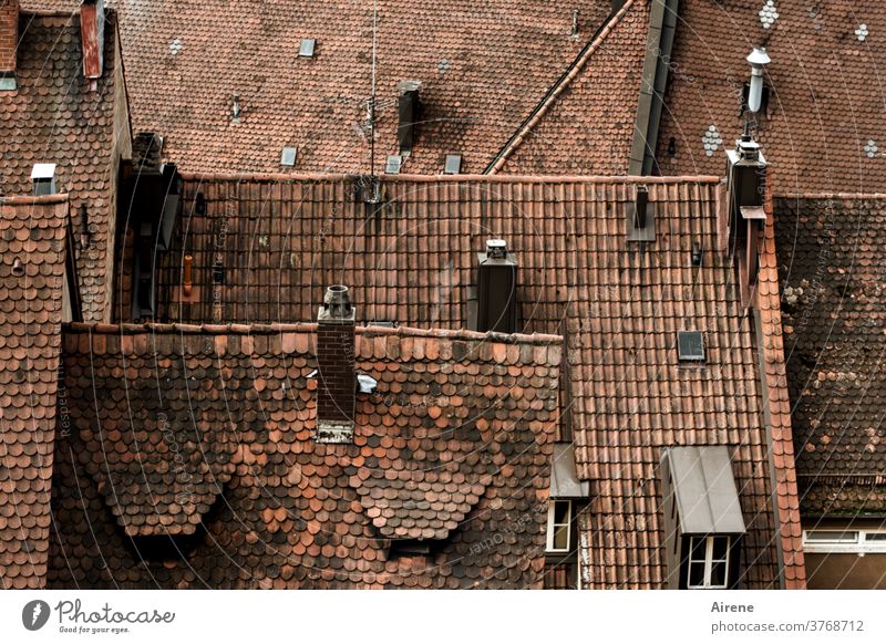 look down on the town Roof ridge Structures and shapes Skylight Red Bavaria Franconia Nuremberg first pediment Dormer Southern Germany Chimney Fireside Steep