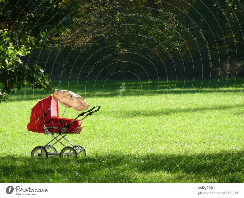 Sunday afternoon park idyll Summer Garden Park Meadow Baby carriage Sunshade Relaxation Driving Lie To swing Sleep Old Friendliness Green Red Contentment