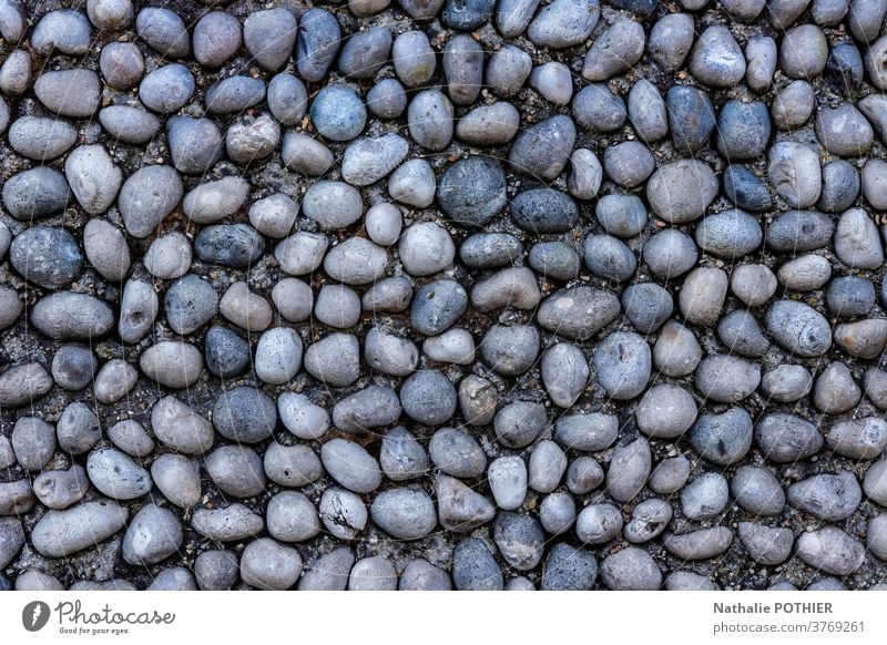 Pebbles in concrete background. Grey color and flat lay backgroung peebles texture grey wall gray stone surface pattern backdrop material natural rock outdoor