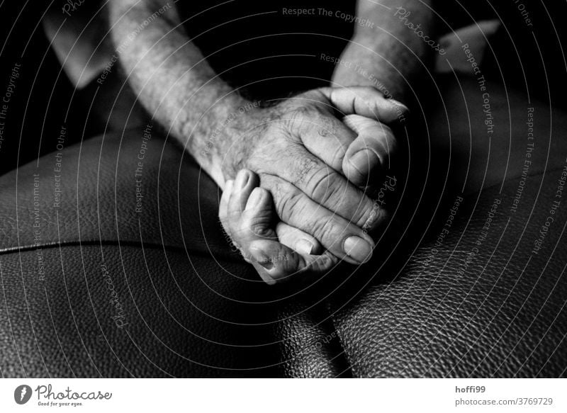 hands by hand person people Close-up sedentary Fingers wrinkled Old Man Skin more adult portrait Manly age