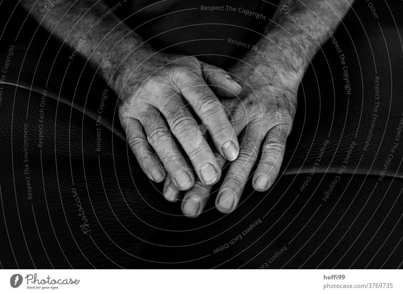hands by hand person people Close-up sedentary Fingers wrinkled Old Man Skin more adult portrait Manly age