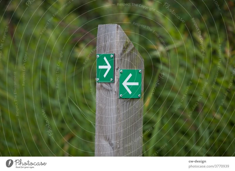 Surrealistic direction indication Direction Green Arrow Orientation Clue Signage Future Trend-setting Signs and labeling Road marking sign Indicate