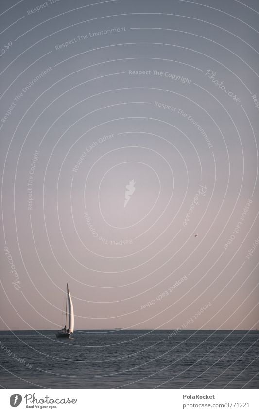 #A# Sail on the horizon Sailboat Sailing ship Sailing vacation Ocean ocean Wind Vacation & Travel Navigation Horizon