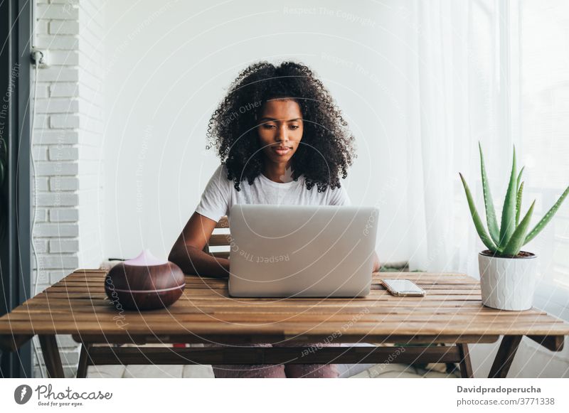 Young black woman using laptop at home modern young cozy rest social media weekend female humidifier plant concentrate pot decor african american ethnic